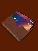 Two Visa cards in a cardholder
