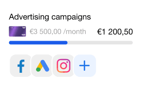 Budget management interface for ad campaigns